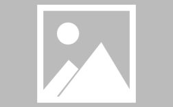 如何养护山影拳盆栽？选苗与造型技巧全解析