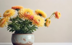小盆栽菊花好养吗？养护技巧与注意事项