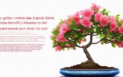 碧桃盆栽怎么养护，碧桃盆栽怎么养护和管理