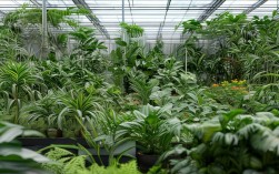 如何选择适合的植物品种并掌握养殖技巧？
