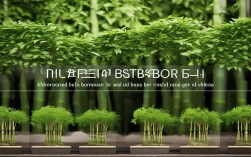 盆栽竹子技巧，盆栽竹子技巧视频