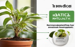 盆栽植物炭疽，盆栽植物炭疽病用什么药