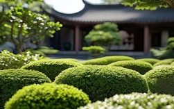 如何在成都科学摆放盆栽？艺术与实用技巧解析