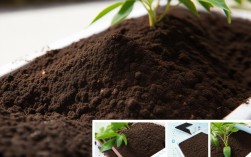 新购胡椒木的养殖土壤，新购胡椒木的养殖土壤如何处理