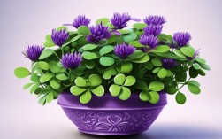 紫芳草盆栽图片，紫芳草盆栽图片大全