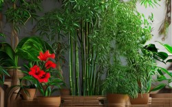 屋内适合什么盆栽辟邪，屋内适合什么盆栽辟邪最好