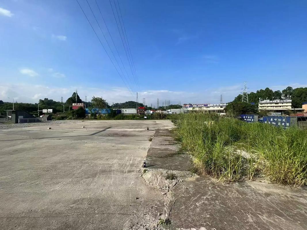 丹竹头物流公司哪家好?找哪家靠谱?