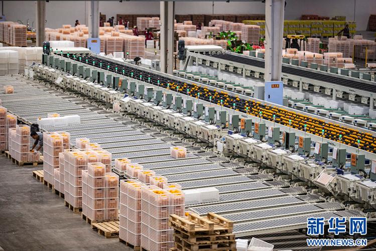 重庆四海物流有限公司怎么样？