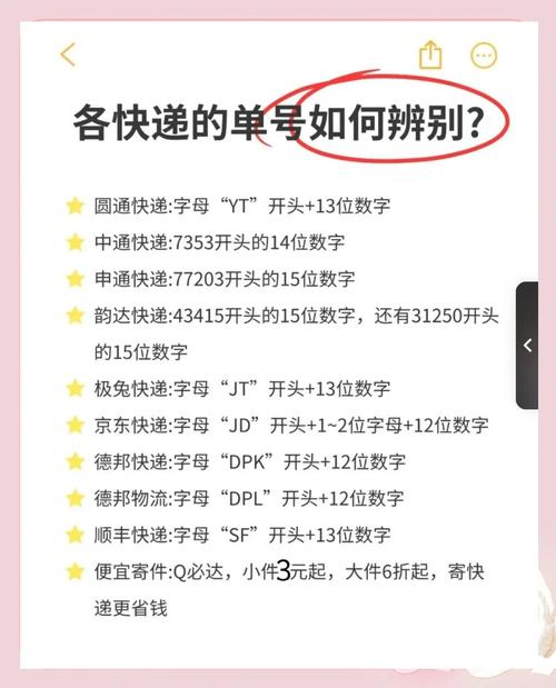 订单号怎么查物流？