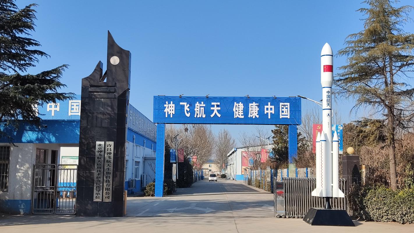 广西盛飞物流有限公司实力如何？