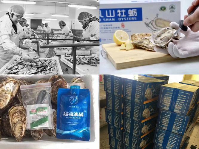 乳山华润物流园电话是多少？